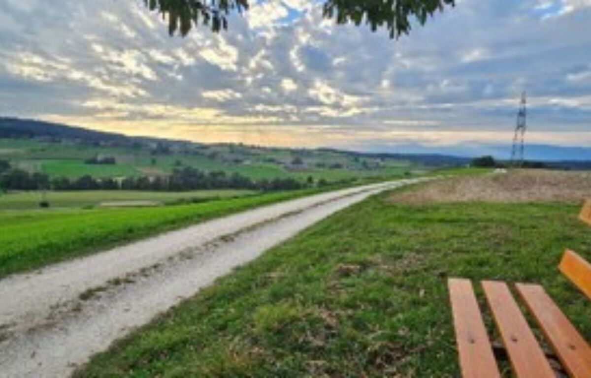 Morgenwanderung